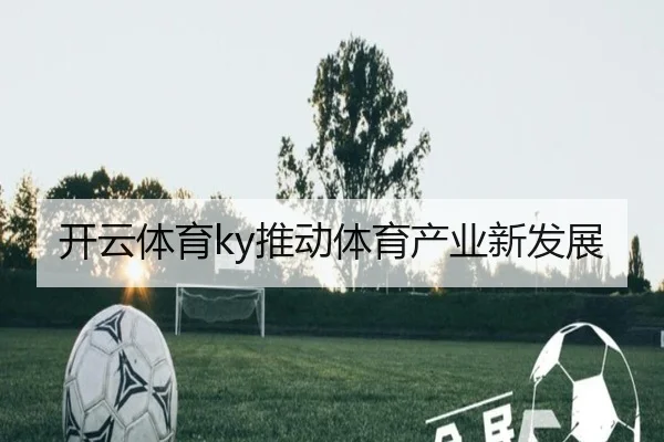 开云体育ky推动体育产业新发展